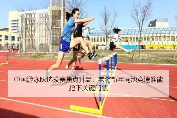 img_1781405537437_23_2_590.jpg