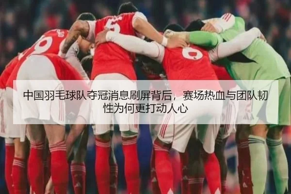 中国羽毛球队夺冠消息刷屏背后，赛场热血与团队韧性为何更打动人心